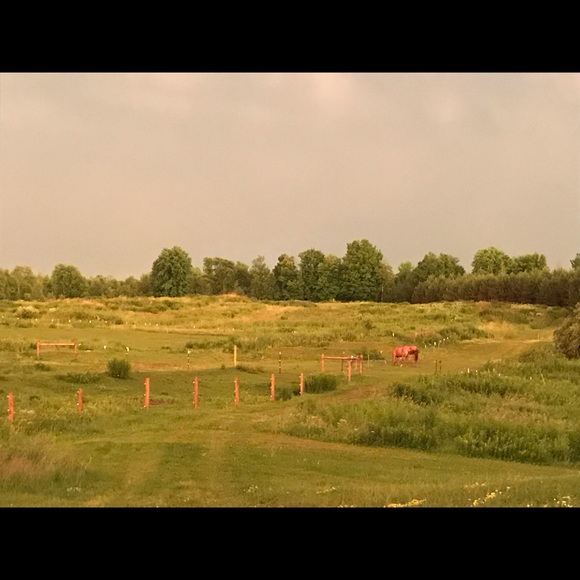 Meet your Posher, Gregory - Picture 2 of 2